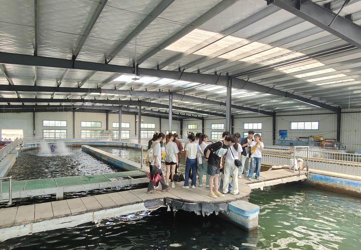 大棚渔业养殖技术培训有何要点？-图3