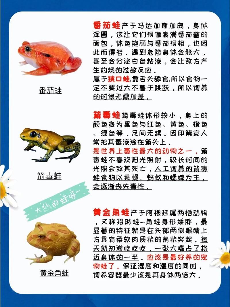 青蛙养殖技术哪里能学？-图3