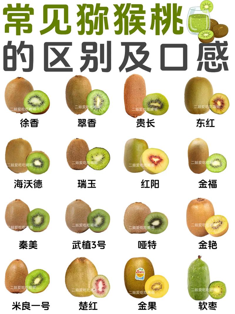 哪种猕猴桃品种最具市场前景？-图1