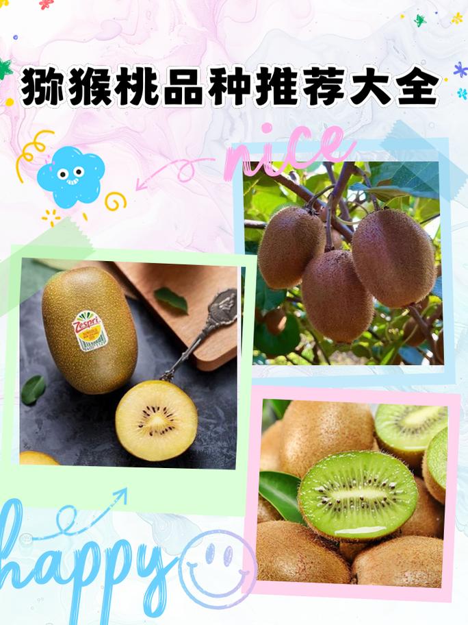 哪种猕猴桃品种最具市场前景？-图2