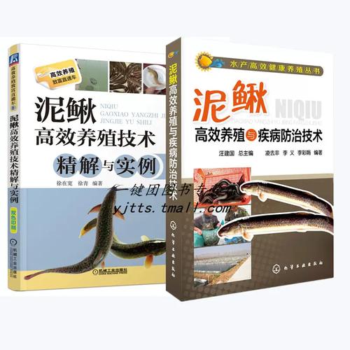 泥鳅全套养殖技术有哪些关键点?-图3 泥鳅全套养殖技术有哪些关键点?-图3
