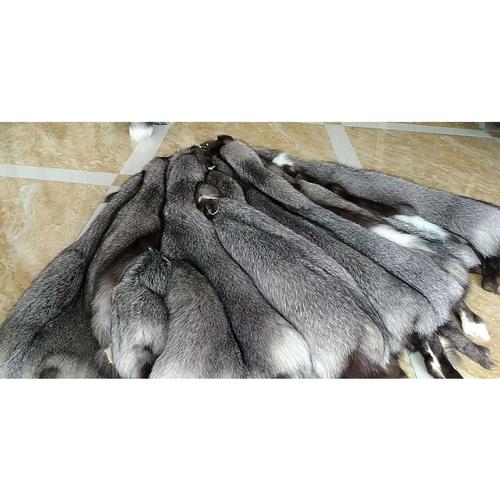 10月10日狐狸皮价格多少钱？-图3