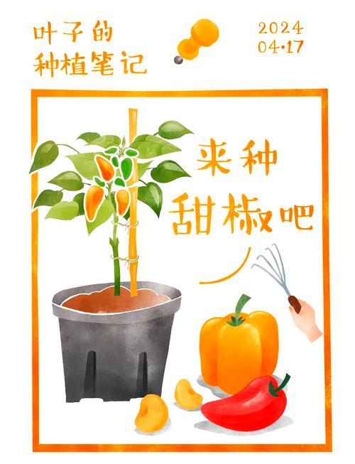 甜椒大棚种植技术规程有哪些要点?-图2 甜椒大棚种植技术规程有哪些要点?-图2