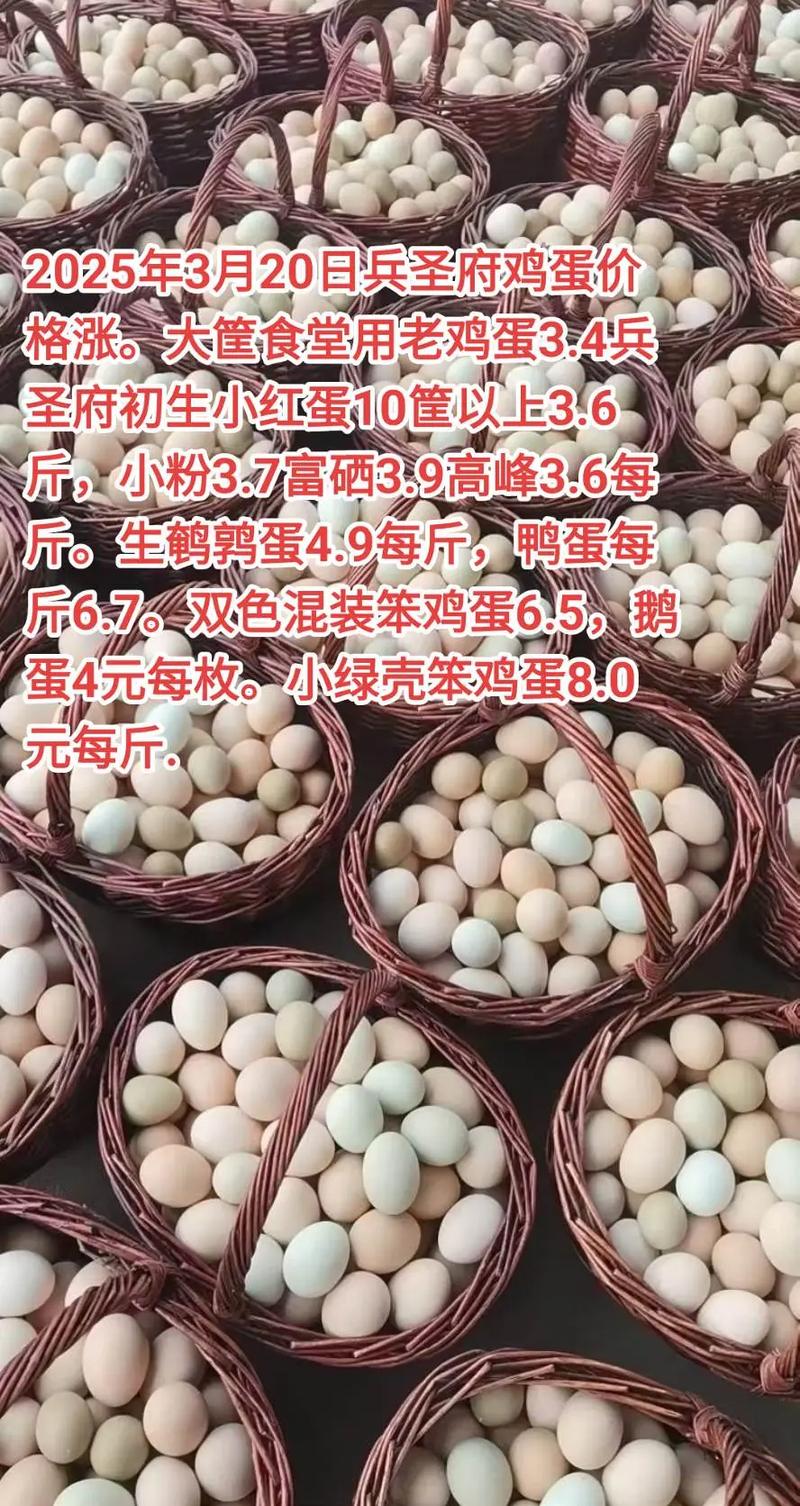 东营鸡蛋今日价格多少钱一斤?-图3 东营鸡蛋今日价格多少钱一斤?-图3