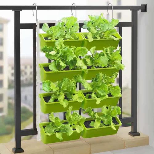 架式种植技术的名称是什么?-图3 架式种植技术的名称是什么?-图3