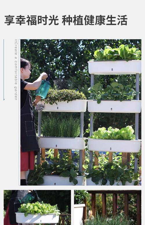 架式种植技术的名称是什么?-图2 架式种植技术的名称是什么?-图2