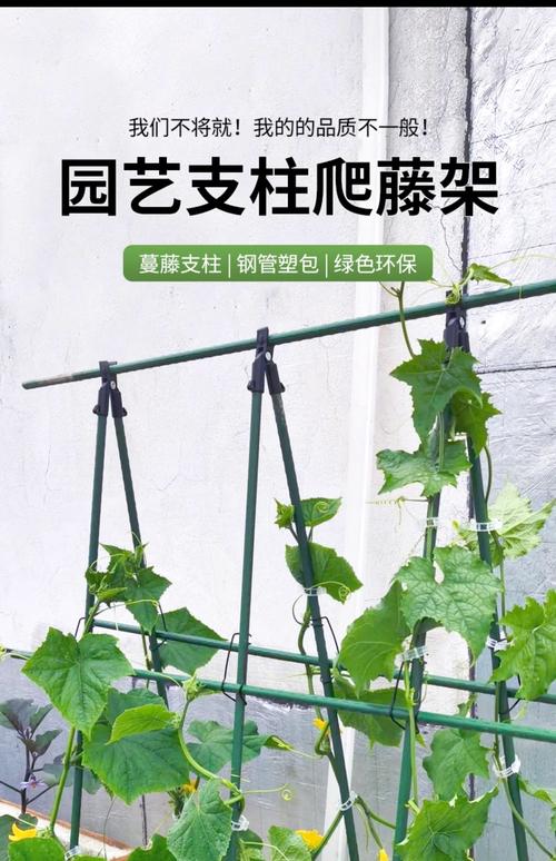 架式种植技术的名称是什么?-图1 架式种植技术的名称是什么?-图1