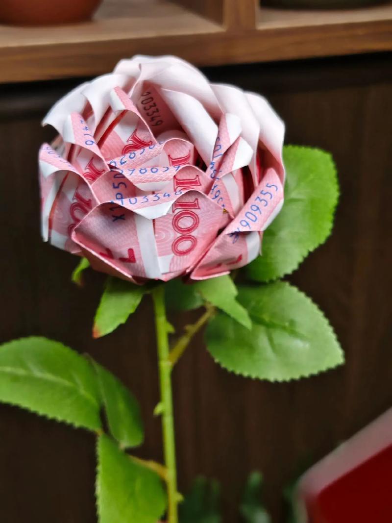 玫瑰最贵品种是哪一种?-图2 玫瑰最贵品种是哪一种?-图2