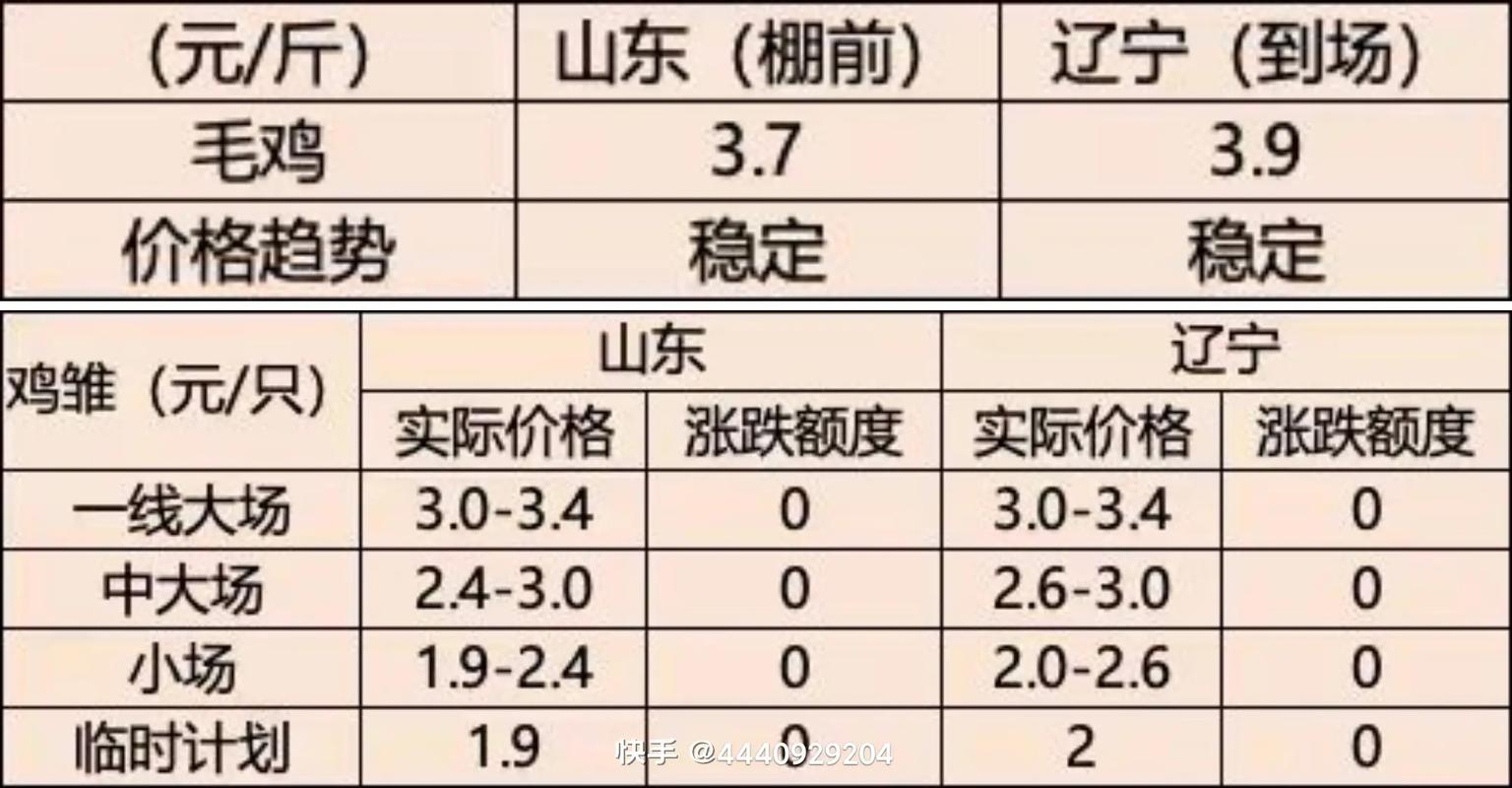 2025年1月毛鸡价格会涨还是跌?-图1 2025年1月毛鸡价格会涨还是跌?-图1