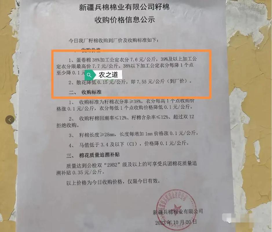 2025新疆棉花价格会涨还是跌?-图1 2025新疆棉花价格会涨还是跌?-图1