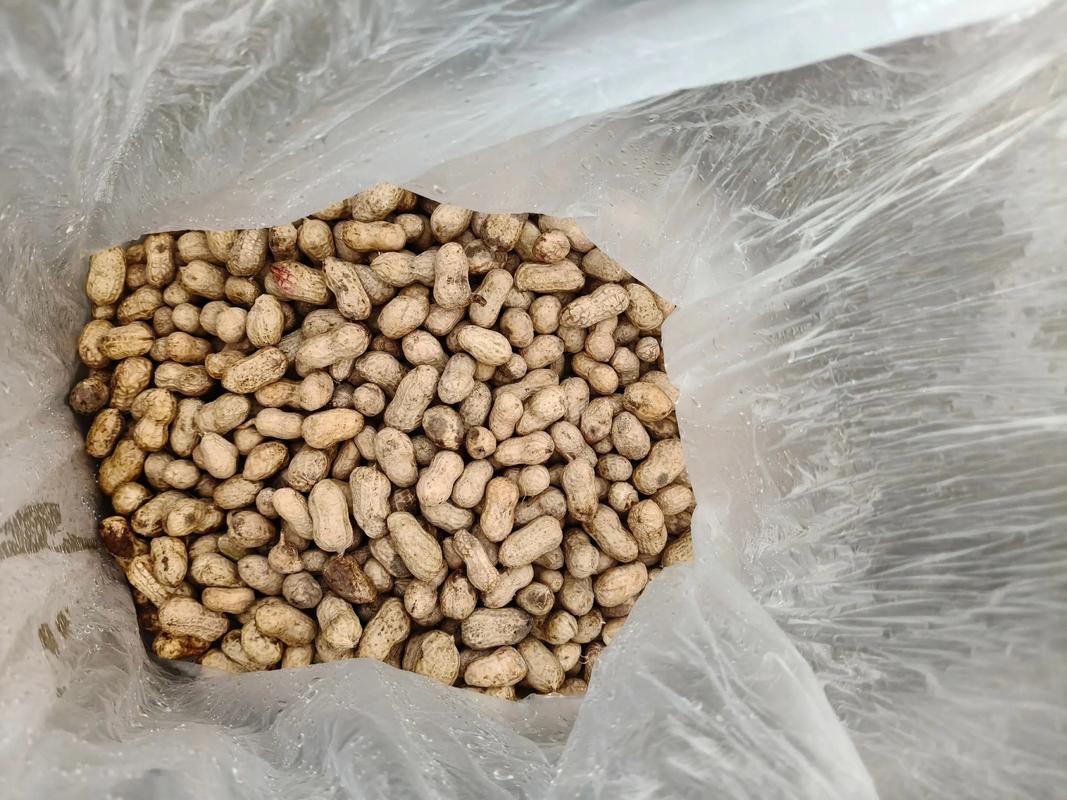 2025年花生价格会涨还是跌?-图2 2025年花生价格会涨还是跌?-图2