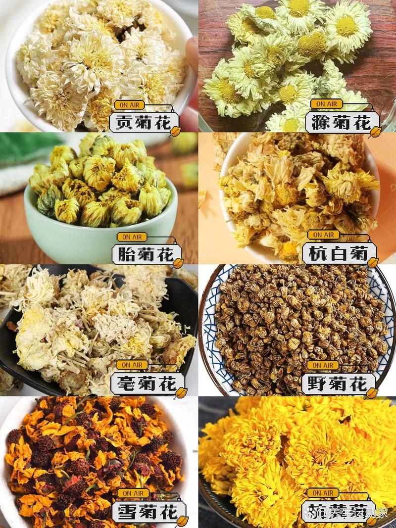 菊花饮品有哪些常见品种?-图2 菊花饮品有哪些常见品种?-图2
