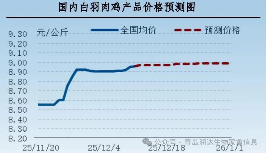 今日肉食鸡毛鸡价格行情如何？-图1