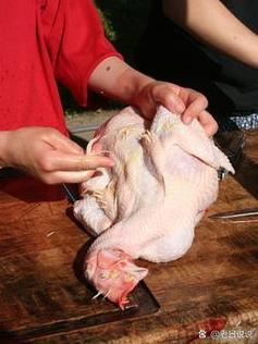 养殖鸡配饲料技术视频，如何科学配比？-图3