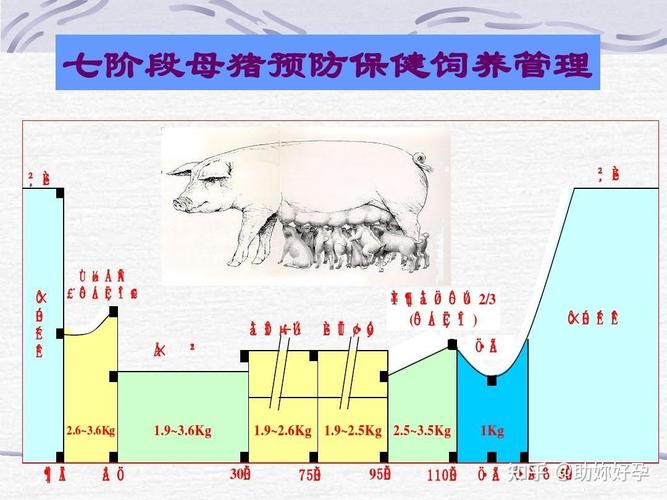 母猪养殖管理技术有哪些关键要点?-图3 母猪养殖管理技术有哪些关键要点?-图3