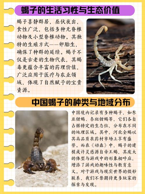 蝎子无冬眠养殖技术书,如何实现全年高效养殖?-图1 蝎子无冬眠养殖技术书,如何实现全年高效养殖?-图1