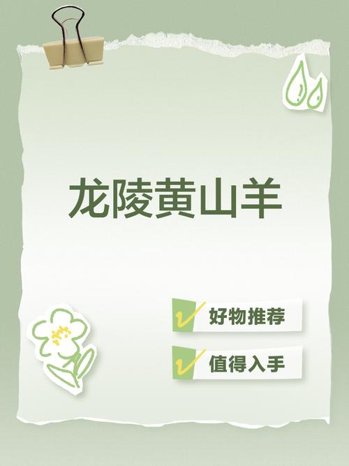 龙陵黄山羊养殖技术要点有哪些？-图3