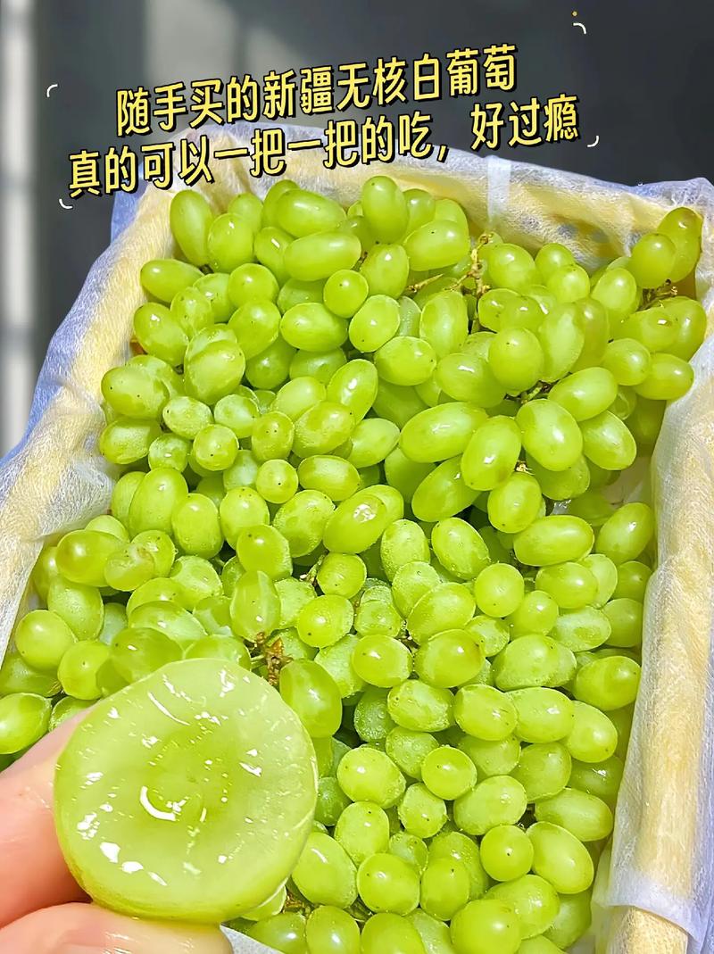 无籽葡萄是什么品种？-图2