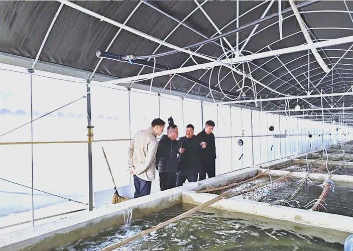 室内黑鱼养殖技术培训，如何快速掌握核心技巧？-图2