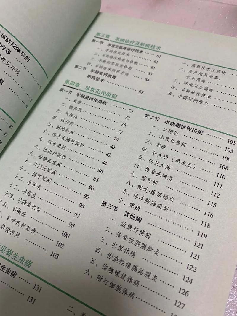 本地养羊如何有效预防疾病？-图3