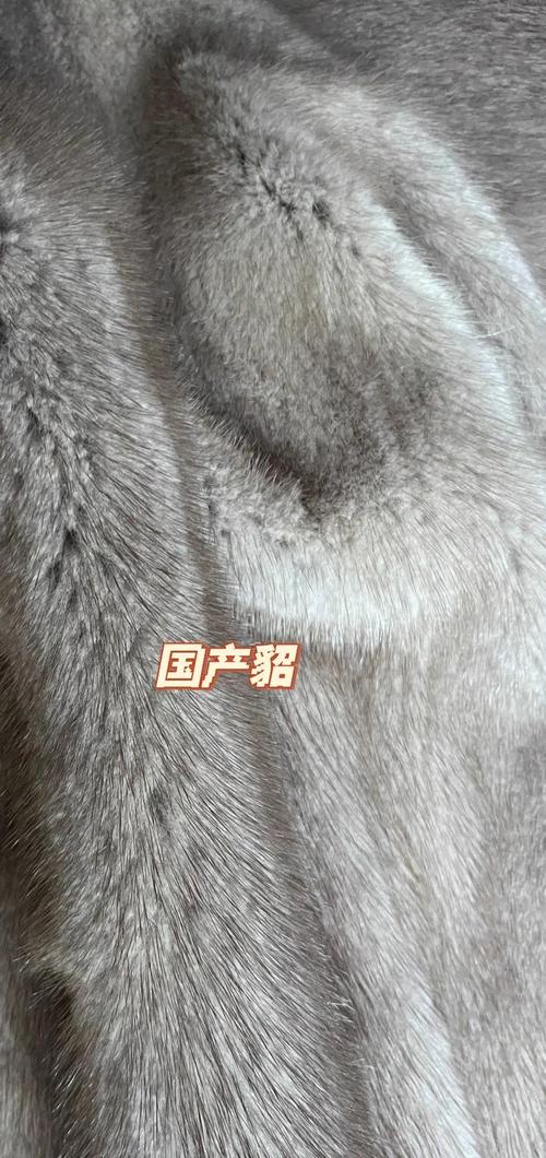 河北尚村貉子皮最新价格咋样？-图2