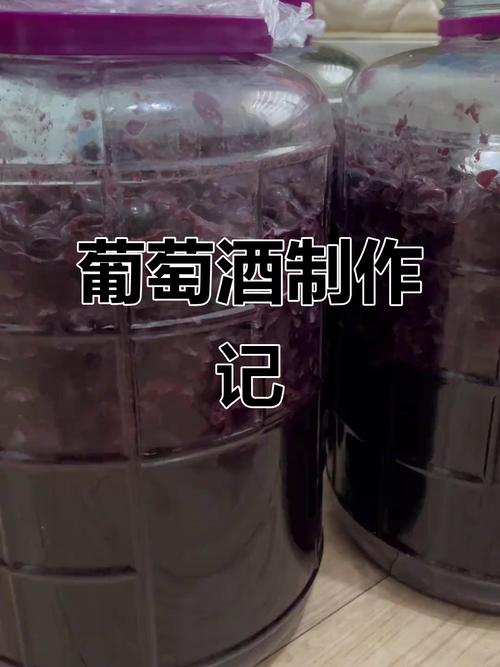 发酵技术起源于何时?-图2 发酵技术起源于何时?-图2