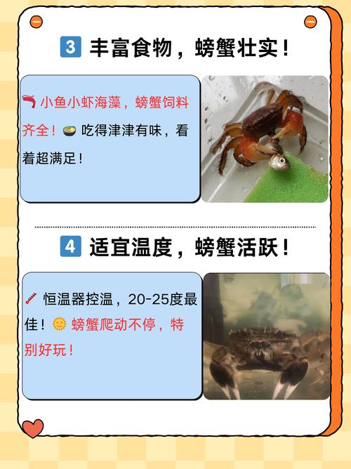 河蟹桂花鱼混养如何增效?-图1 河蟹桂花鱼混养如何增效?-图1