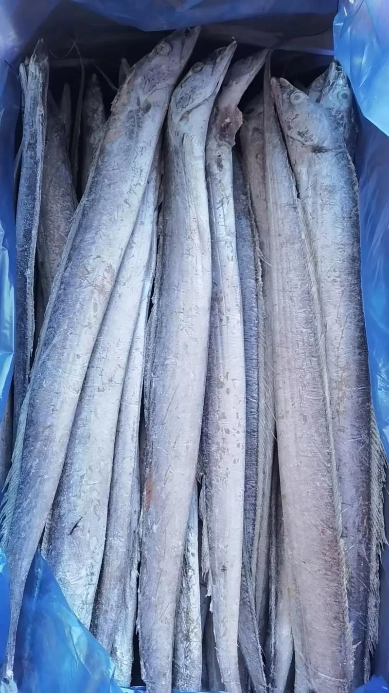 哪种冷带鱼最好养又易活？-图1