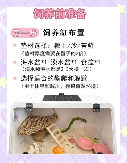 螃蟹养殖技术核心要点有哪些?-图2 螃蟹养殖技术核心要点有哪些?-图2