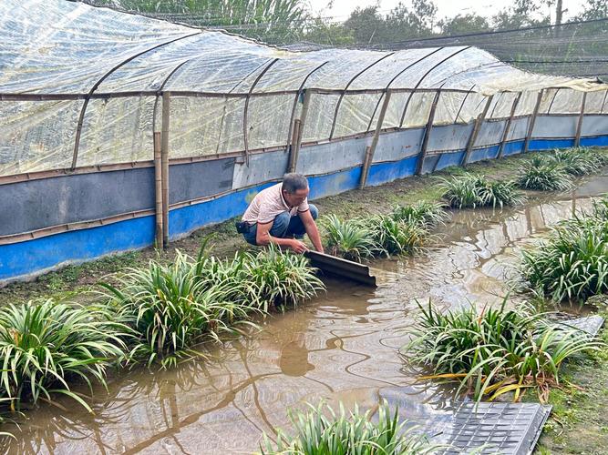 野生石蛙养殖技术可行吗？-图2