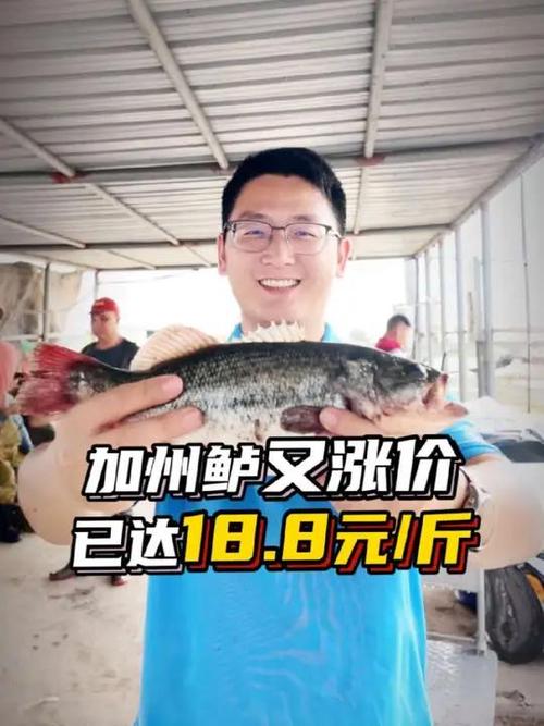 河南加州鲈鱼价格接下来会涨还是跌？-图3