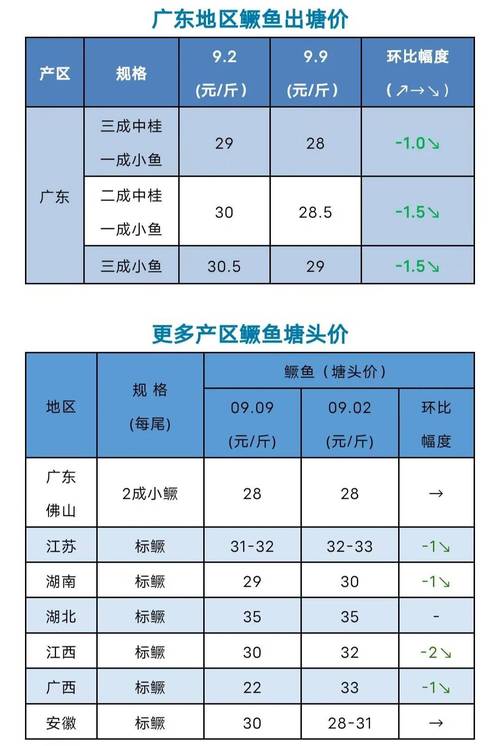 今日江苏桂鱼价格多少钱一斤?-图2 今日江苏桂鱼价格多少钱一斤?-图2