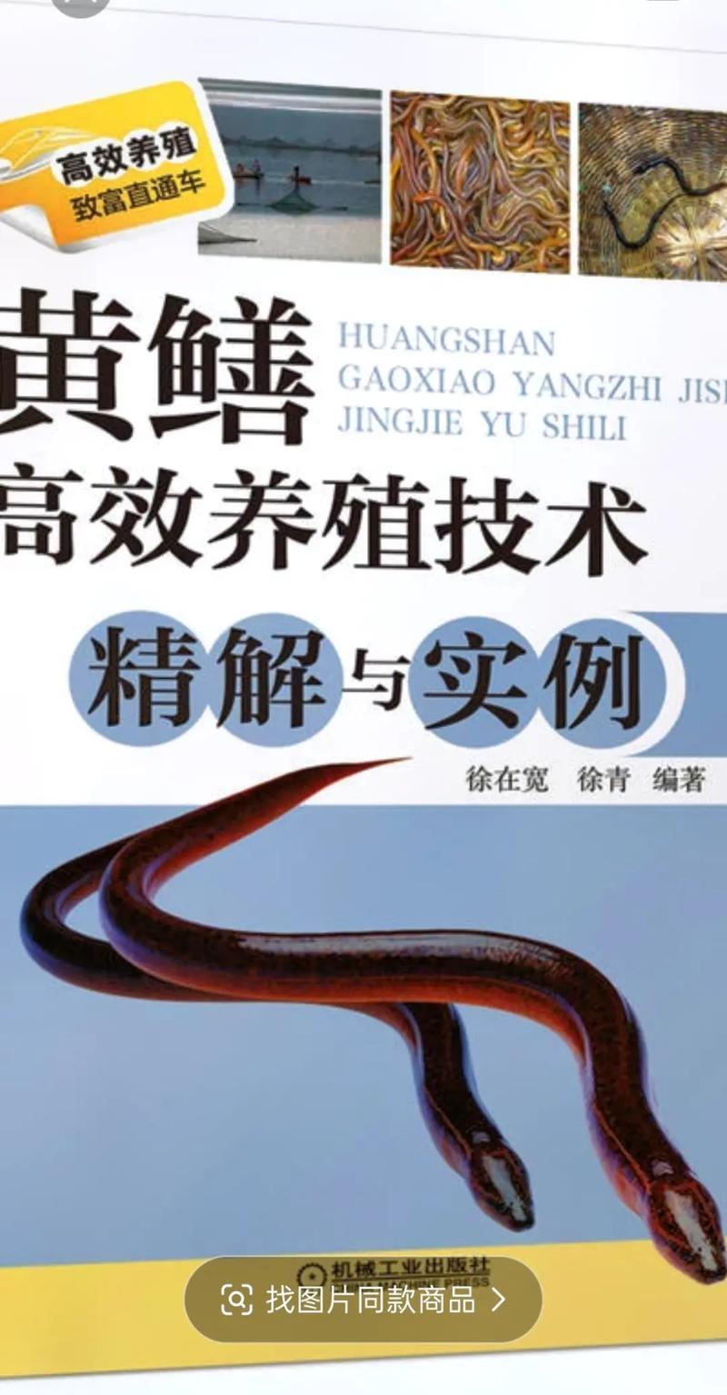 湖北黄鳝养殖技术培训如何快速掌握核心技巧?-图1 湖北黄鳝养殖技术培训如何快速掌握核心技巧?-图1