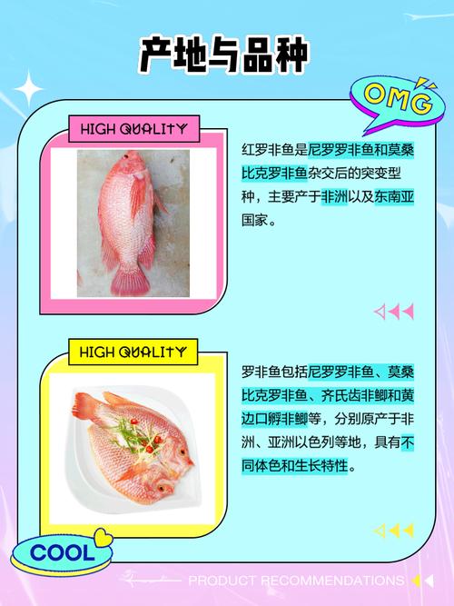 和罗非鱼品种类似的鱼-图3