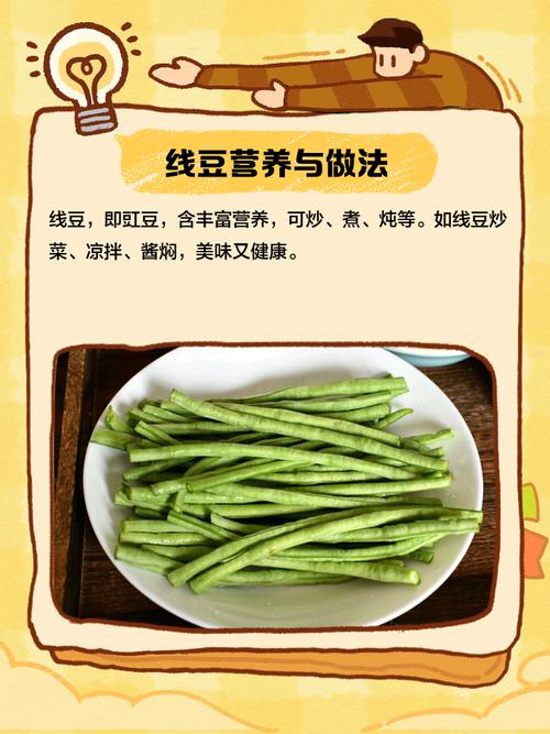 线豆种植视频,关键技术有哪些?-图1 线豆种植视频,关键技术有哪些?-图1