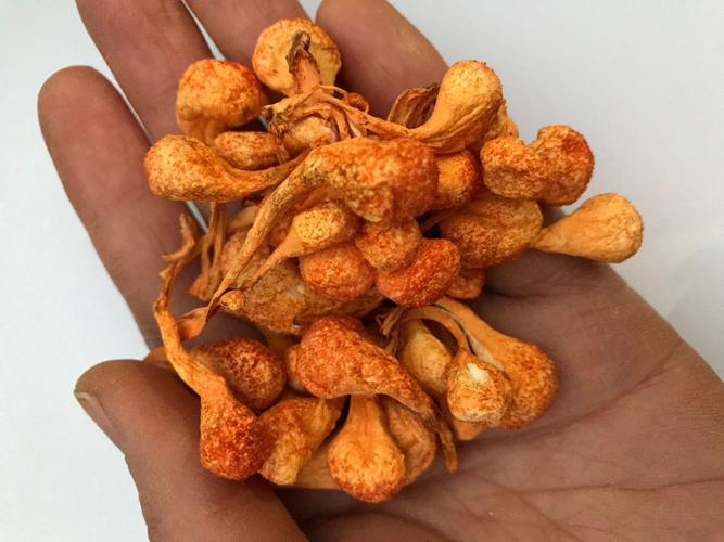 孢子头虫草花价格范围-图2 孢子头虫草花价格范围-图2