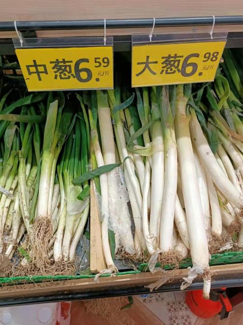 近几年大葱价格走势如何?-图3 近几年大葱价格走势如何?-图3