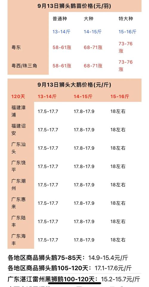 广西鹅苗最新价格多少钱一只？-图1