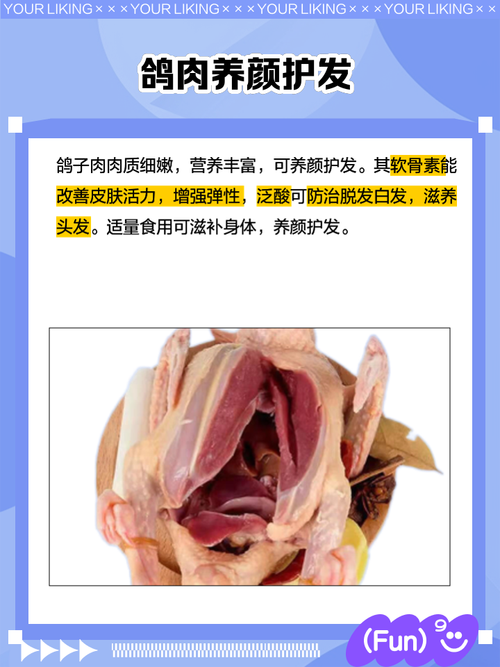 什么品种鸽子营养价值最高?-图3 什么品种鸽子营养价值最高?-图3