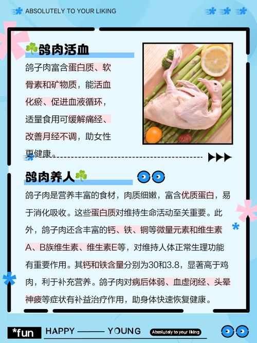 什么品种鸽子营养价值最高?-图2 什么品种鸽子营养价值最高?-图2