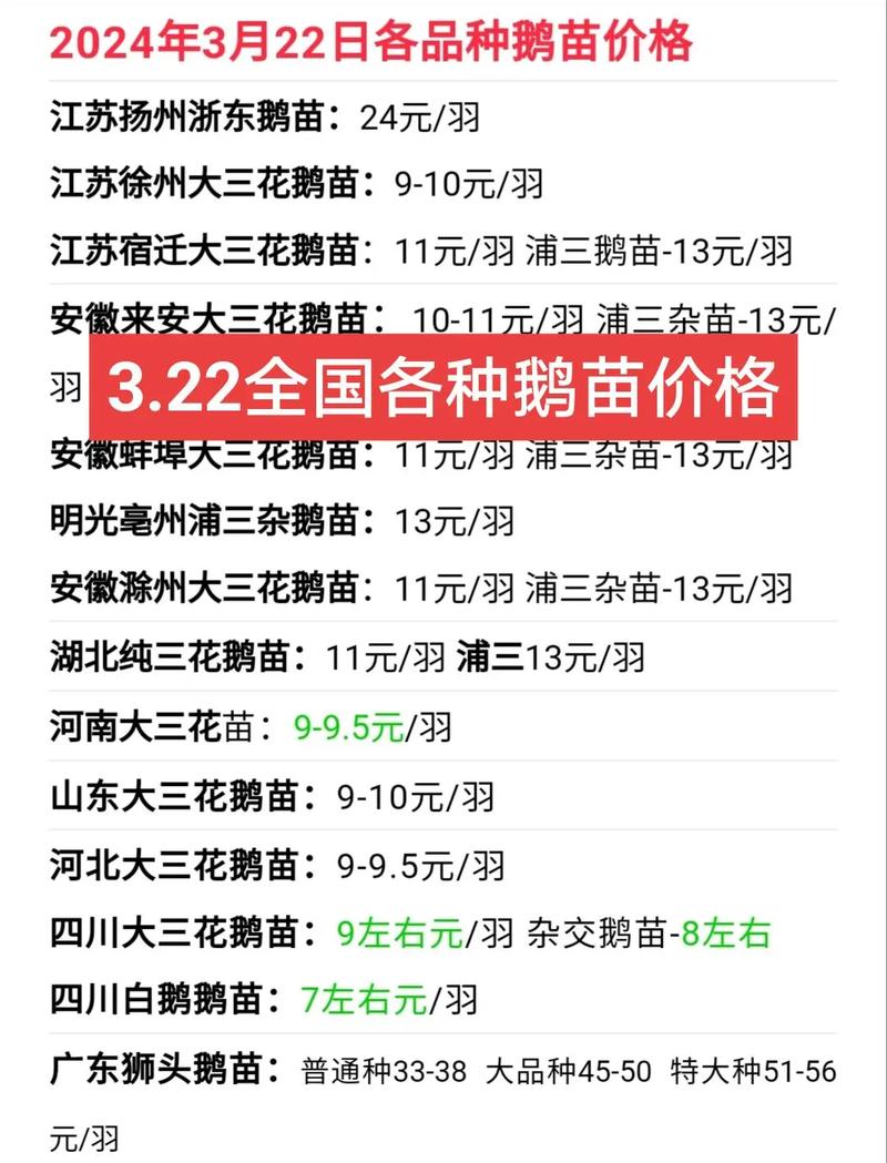 辽宁肉鹅价格最新行情怎么样？-图1