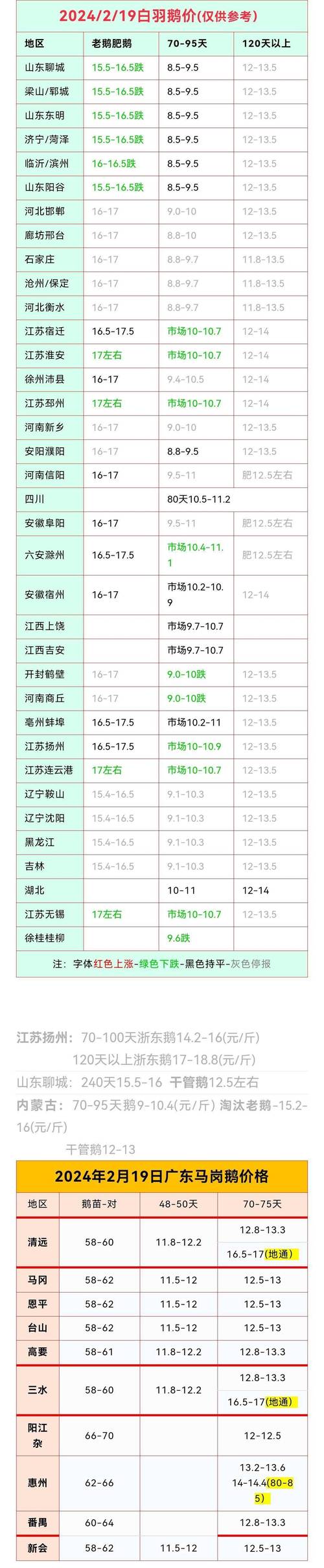 辽宁肉鹅价格最新行情怎么样？-图3