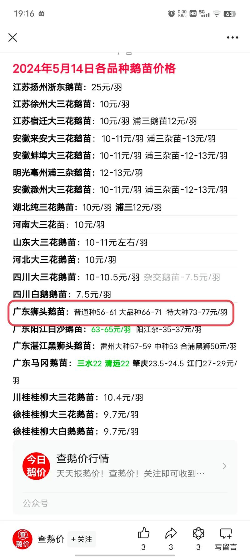 辽宁肉鹅价格最新行情怎么样？-图2