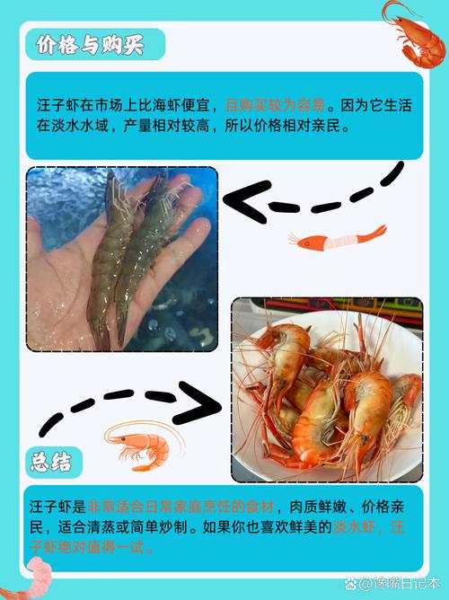 河里小虾怎么养才存活？-图3