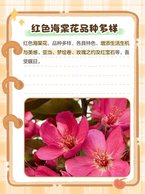 大红色海棠是什么品种-图1 大红色海棠是什么品种-图1