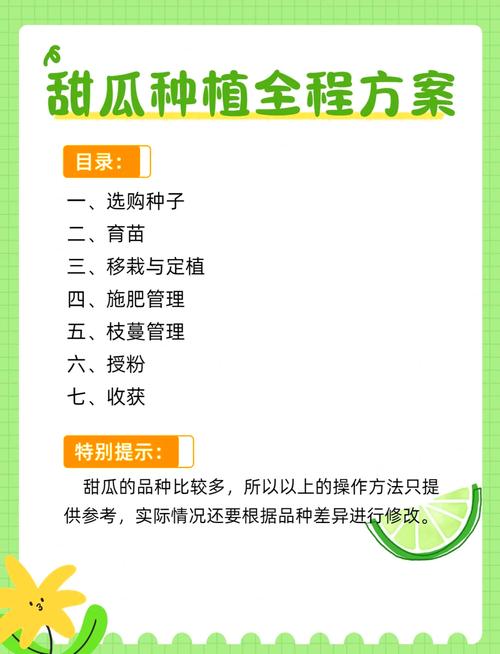 南方甜瓜大棚栽培技术要点有哪些?-图2 南方甜瓜大棚栽培技术要点有哪些?-图2