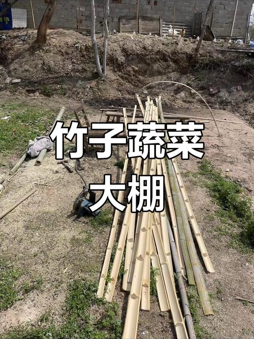 竹子蔬菜大鹏搭建技术-图2