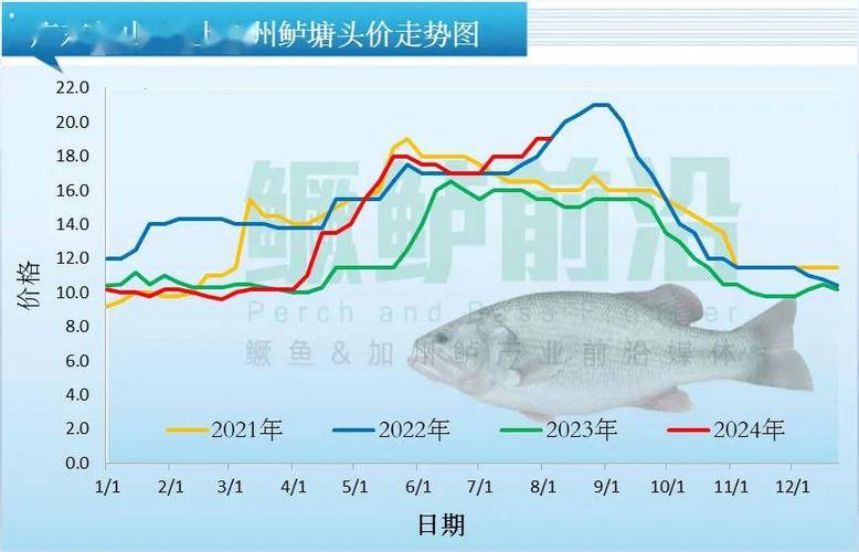 加州鲈鱼今日塘头价格多少？-图1