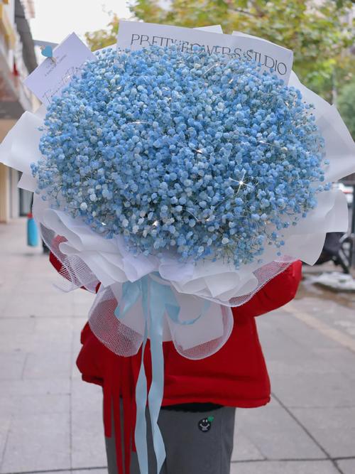 满天星什么品种是蓝色-图2 满天星什么品种是蓝色-图2