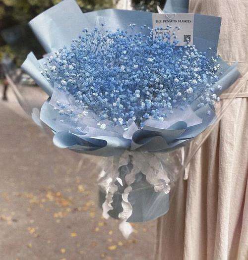 满天星什么品种是蓝色-图1 满天星什么品种是蓝色-图1